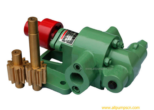 differential gear oil pump