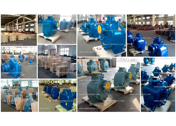 centrifugal regenerative self priming pump